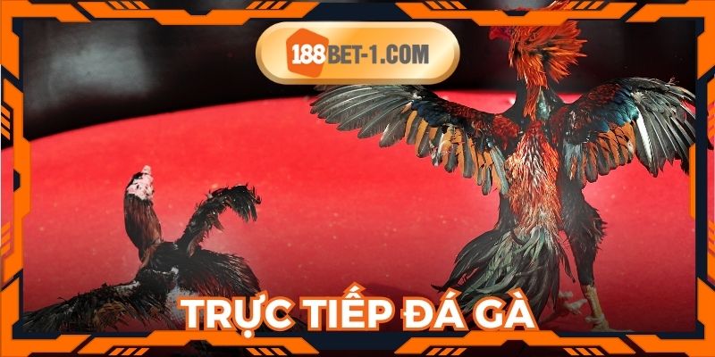 Trực Tiếp Đá Gà 188bet - Nơi Giúp Bạn Thỏa Mãn Đam Mê